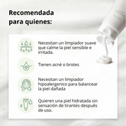 Mixsoon Limpiador “Centella Cleansing Foam” 150ml