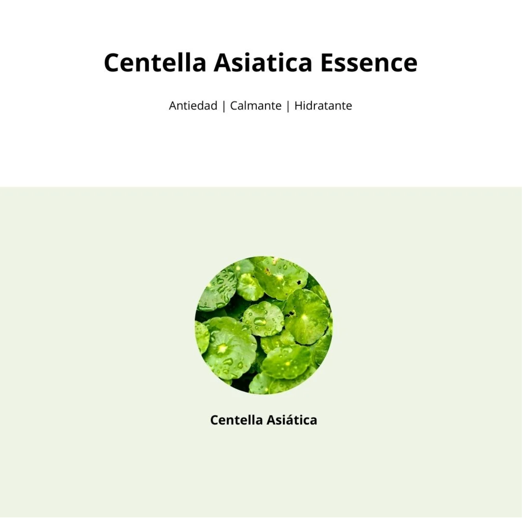 Mixsoon Esencia “Soondy Centella Asiatica Essence” 100ml