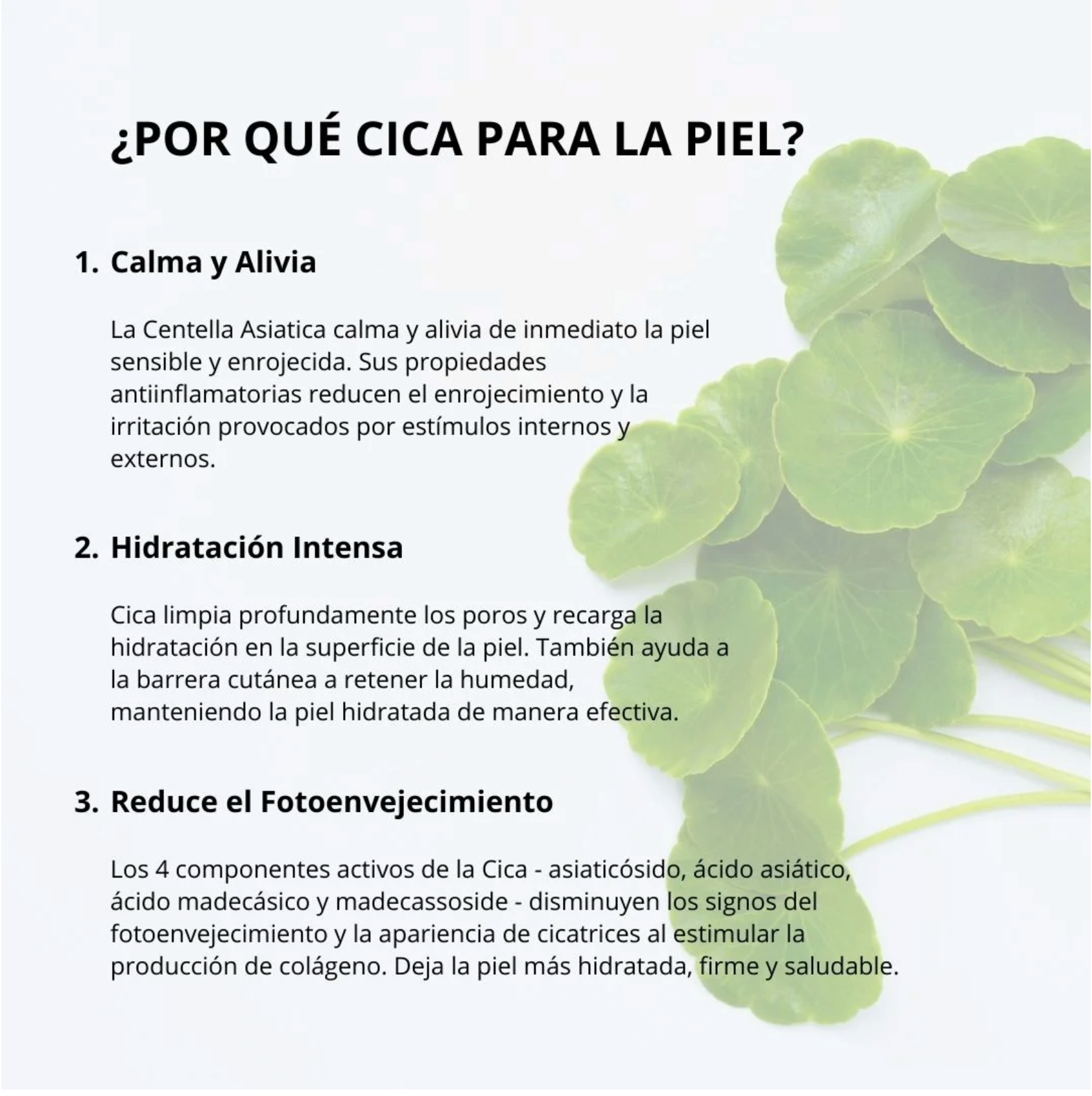 Mixsoon Esencia “Soondy Centella Asiatica Essence” 100ml