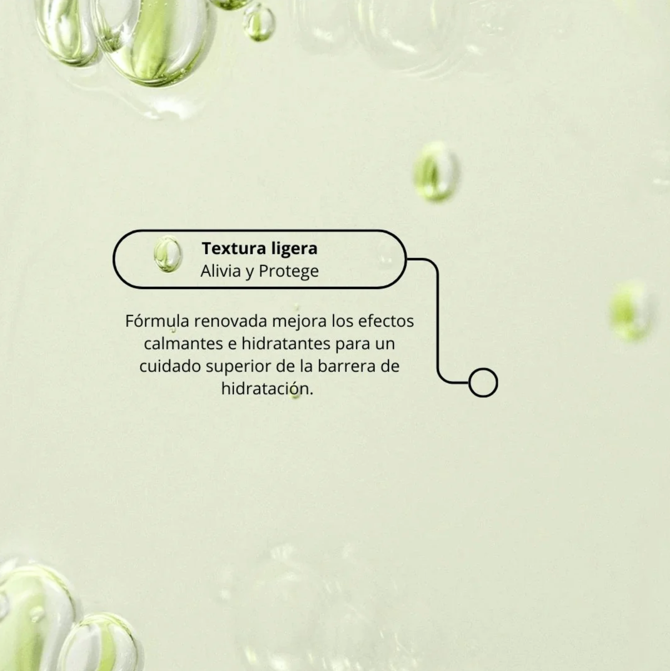 Beauty of Joseon Serum “Calming Serum: Green Tea + Panthenol”