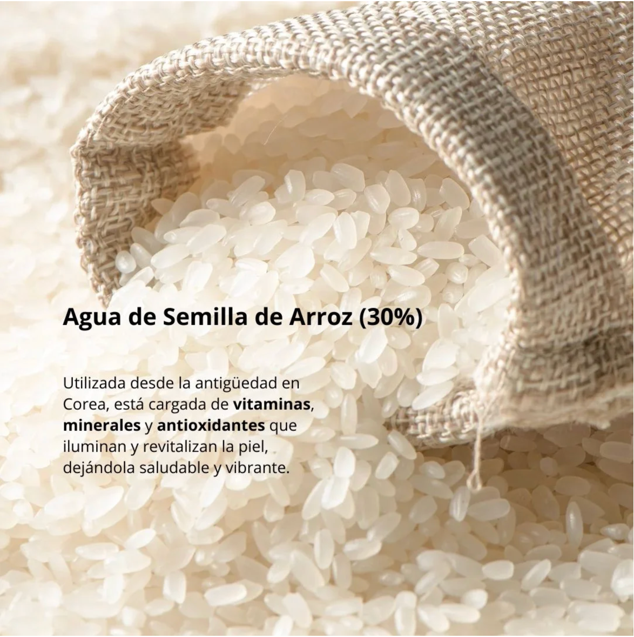 Beauty of Joseon Protector Solar “Relief Sun Aqua-Fresh Rice + B5” 50ml