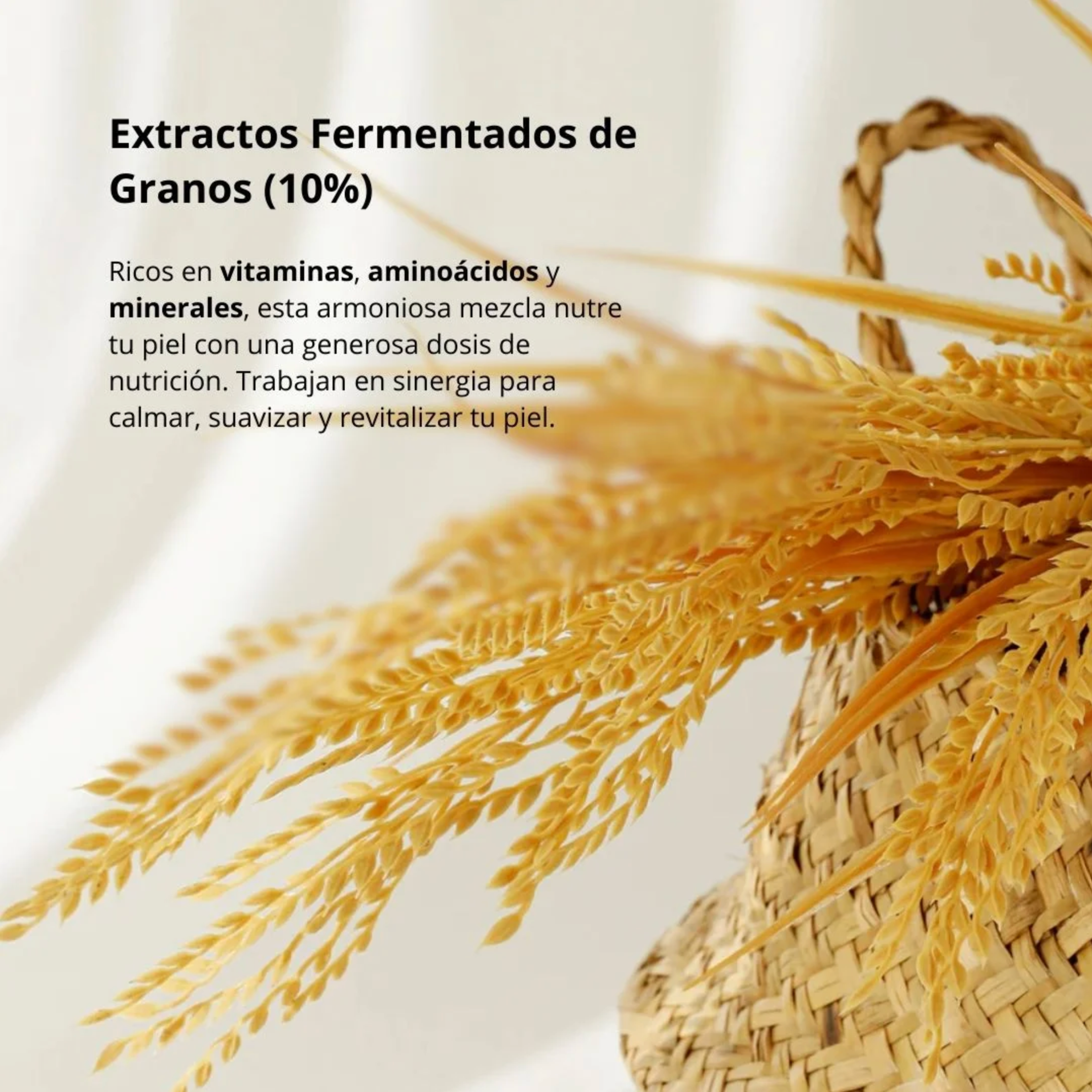 Beauty of Joseon Protector Solar “Relief Sun Rice + Probiotics” 50ml