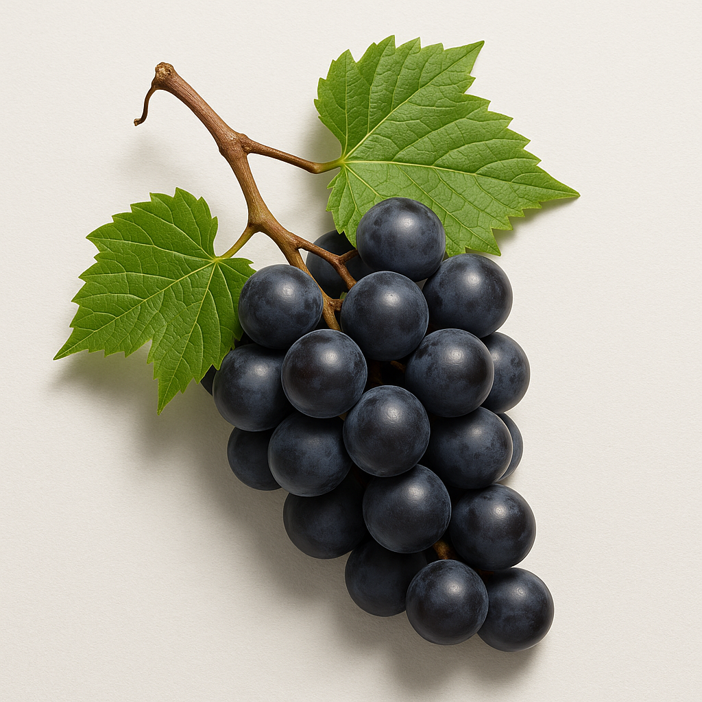 Resveratrol